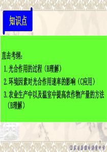 环境因素对光合作用的影响、农业生产及温室中提高农作物产量的方法(2010-12-29)