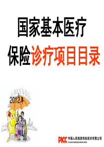 国家基本医疗保险诊疗目录课件