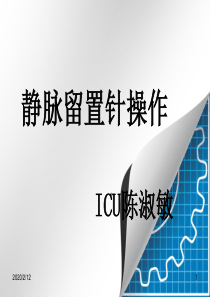 静脉留置针.ppt