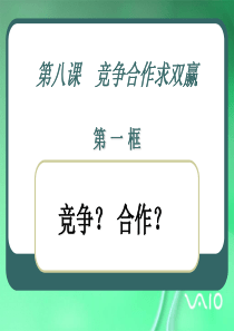 八年级政治竞争？合作？课件1