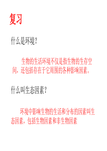 生物：第一单元第二章第二节 生物与环境组成生态系统1课件(人教版七年级上)