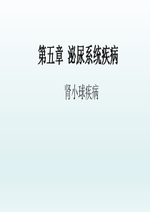 肾小球疾病――泌尿系统疾病――内科学