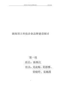 湖南顶立科技公司品牌建设探讨(品牌大作业)