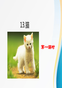 2020年春最新部编版四年级语文下册-13-猫-课件PPT