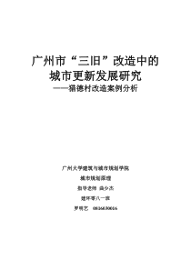 广州市“三旧”改造中的城市更新发展研究——猎德村