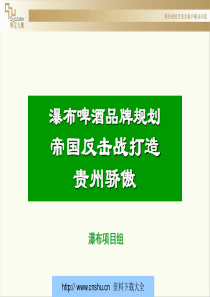 瀑布啤酒品牌规划方案--tslmq