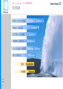 E+H-压力变送器培训