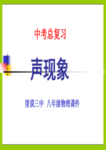 声现象总复习总结