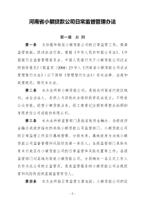 河南省小额贷款公司日常监督管理办法