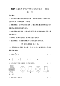 2017陕西中考黑卷・数学