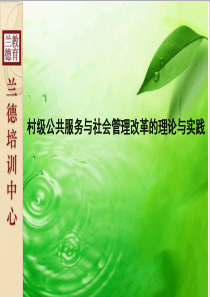 村级公共服务与社会管理改革的理论与实践 兰德教育