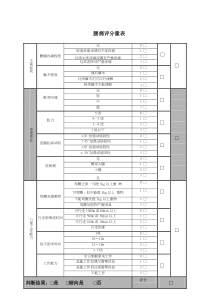 改良日本骨科协会腰痛评分表(M-JOA)