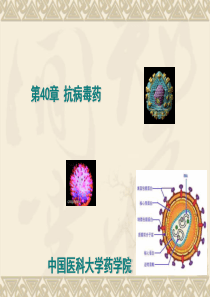 第40章抗病毒药