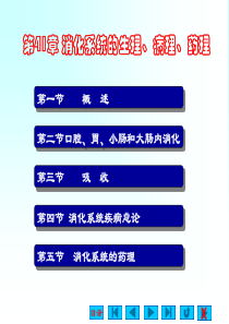 第41章 消化系统的的生理、病理、药理