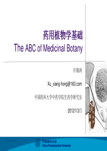 第5章现代中药基础知识之药用植物学基础