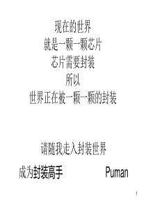 现在的世界就是一颗一颗芯片芯片需要封装所以世界正在被一颗一颗