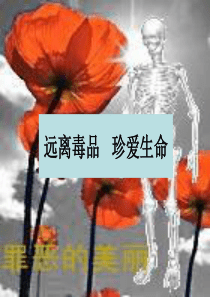 珍爱生命,远离毒品