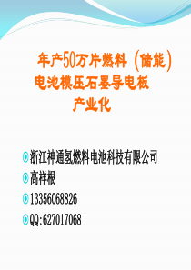 燃料电池(储能电池石墨导电板)产业化项目介绍(1)2013.8.30