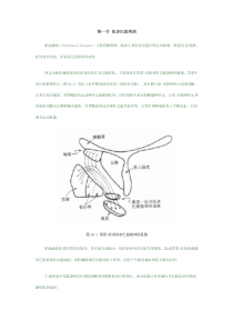 第一节拟多巴胺类药