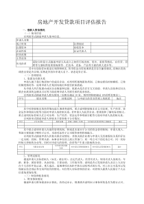 房地产开发贷款项目评估报告模板