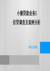 小额贷款业务风险分析资料
