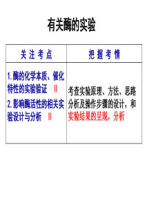 高三生物示范课：有关酶的实验