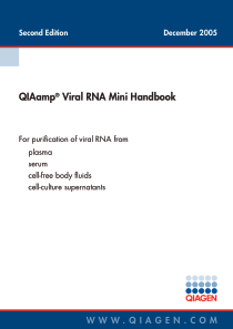 QIAGEN病毒RNA提取试剂盒说明书