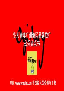 生力啤酒品牌推广（奥美）】（PPT46页）