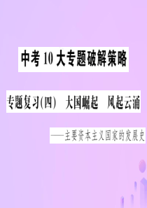 2019届中考历史中考专题复习(四)大国崛起风起云涌―主要资本主义国家的发展史课件