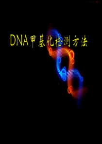 DNA甲基化检测方法