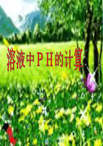 高中化学：PH的计算