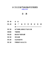 10万立方加气块可行性报告