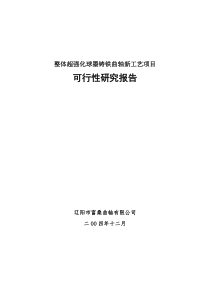 整体超强化球墨铸铁曲轴新工艺项目可行性研究报告