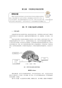 第九章中枢神经系统药物-欢迎莅临辽宁农业职业技术学院精品