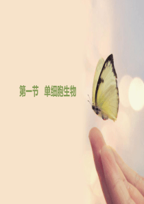 47《单细胞生物》优教课件