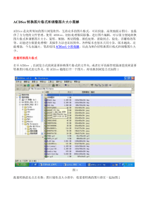 使用ACDSee转换图片格式和调整图片大小