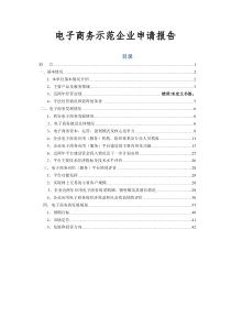 电子商务示范企业申请报告