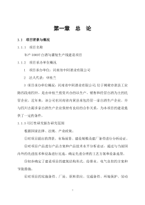 白酒灌装生产线项目可行性研究报告