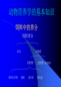 动物营养学知识与预混料加工工艺