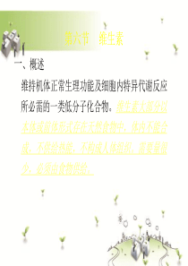 XX汽车修理厂裂变营销策划方案