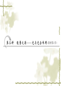 2013届高考生物一轮复习课件：必修1 5.3能量之源――光与光合作用