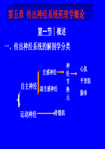 第五章传出神经系统药理