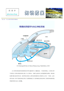 第五章传出神经系统药理概论