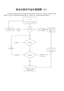 林业行政许可运行流程图