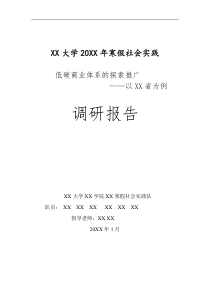 最新大学生寒假社会实践调研报告范文