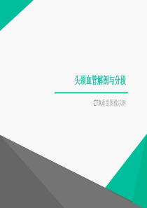 CTA头颈血管解剖分段