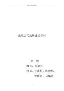 盈泓公司品牌建设探讨