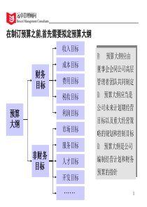 年度预算和计划.方案