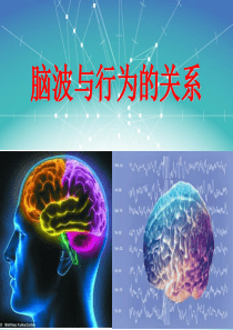 脑波与行为的关系