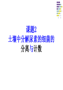 22+土壤中分解尿素的细菌的分离与计数